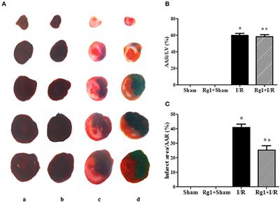 Ginsenoside Rg1 Ameliorates Rat Myocardial Ischemia-Reperfusion Injury by Modulating Energy Metabolism Pathways